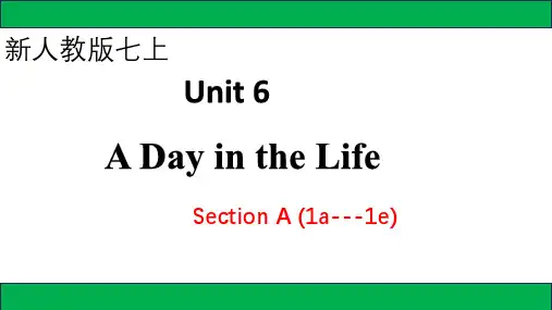Unit 6 Section A(1a~1e)课件-人教版(2024)英语七年级上册