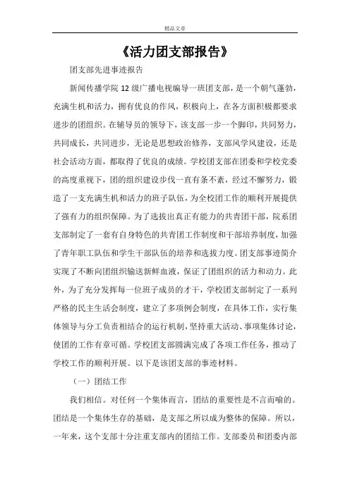 《活力团支部报告》