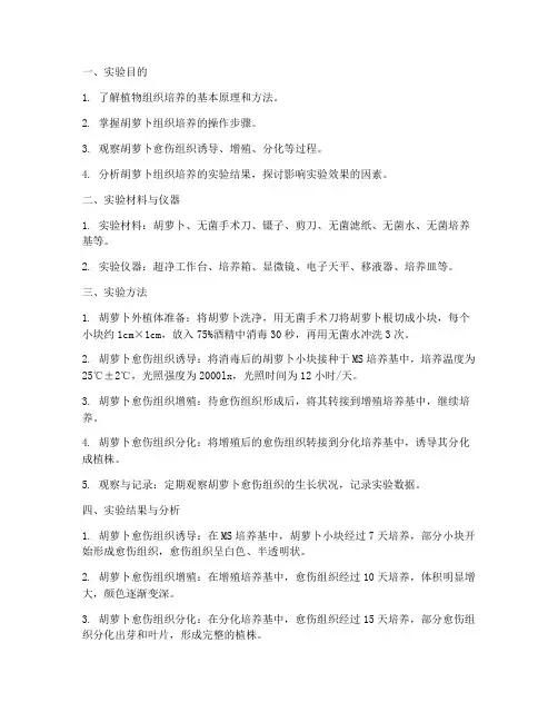 胡萝卜的实验报告