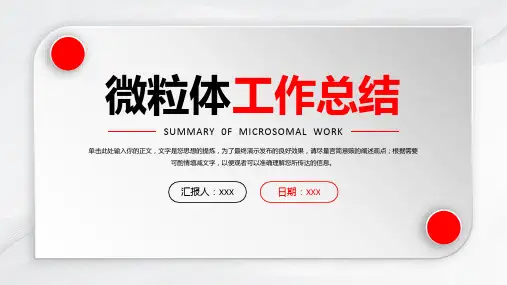 红色微粒体工作总结计划PPT