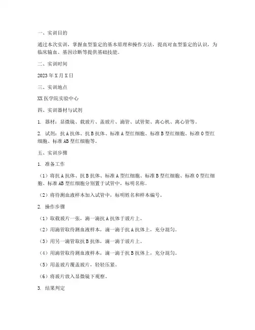 实训报告测血型