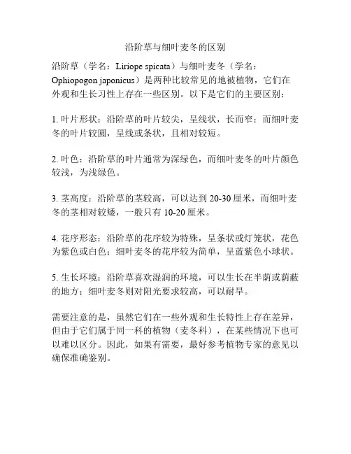 沿阶草与细叶麦冬的区别