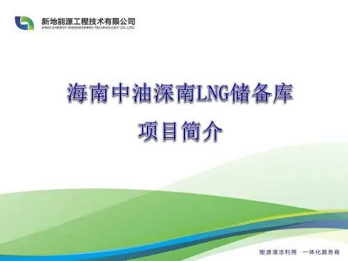 6海南LNG储备库项目简介