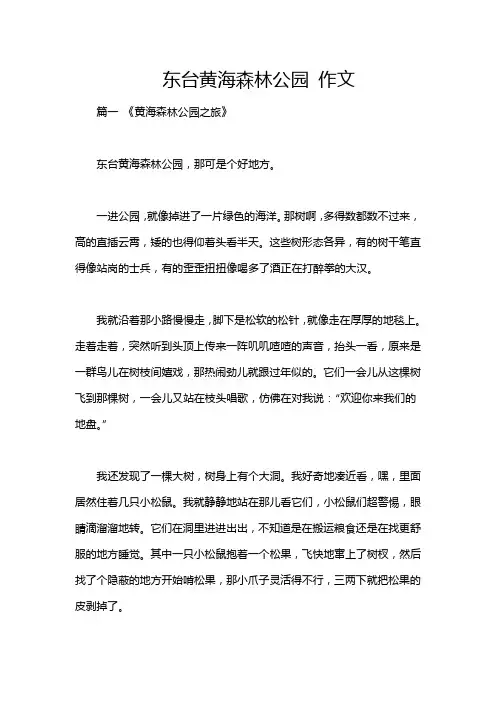 东台黄海森林公园 作文