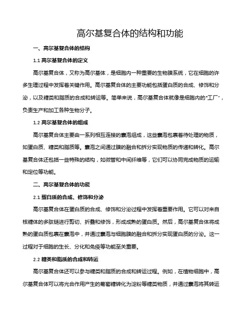 高尔基复合体的结构和功能