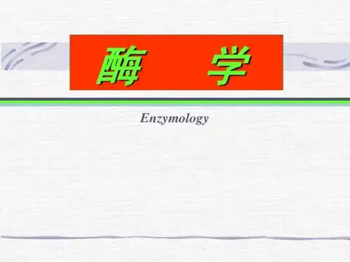 3-1-单底物酶反应动力学