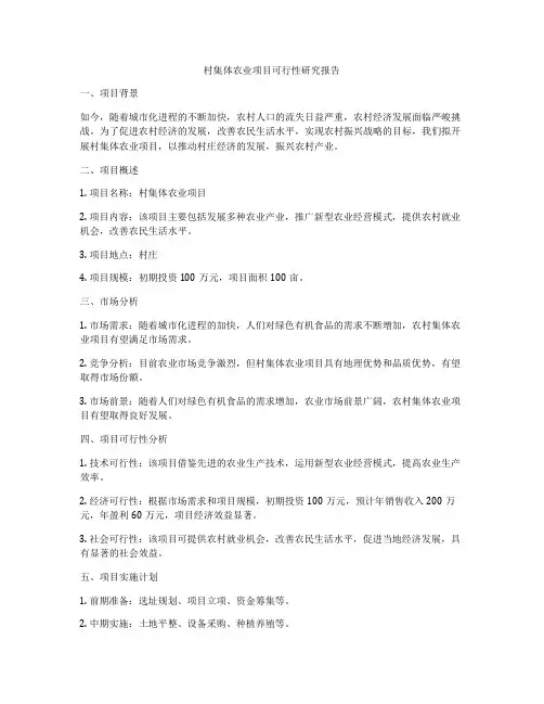 村集体农业项目可行性研究报告