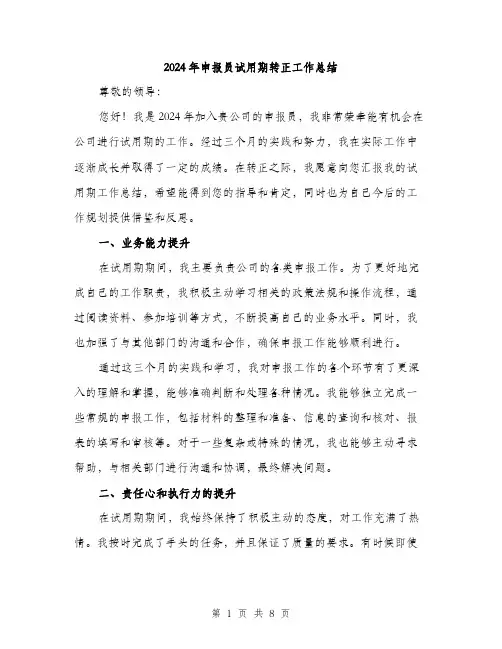 2024年申报员试用期转正工作总结（三篇）