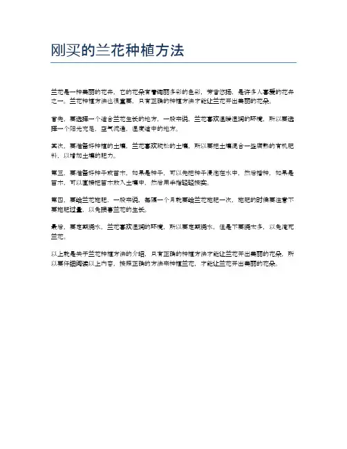 刚买的兰花种植方法