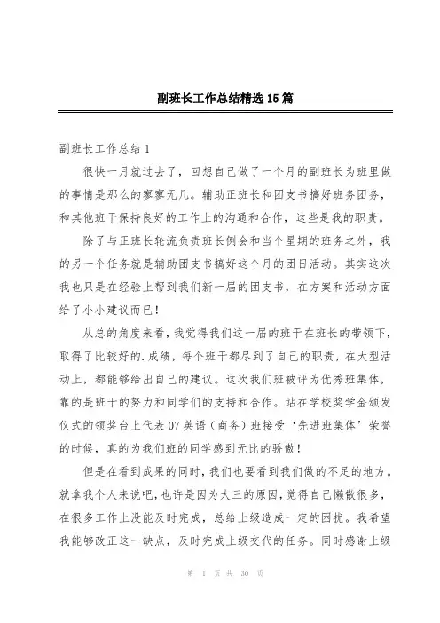 副班长工作总结精选15篇