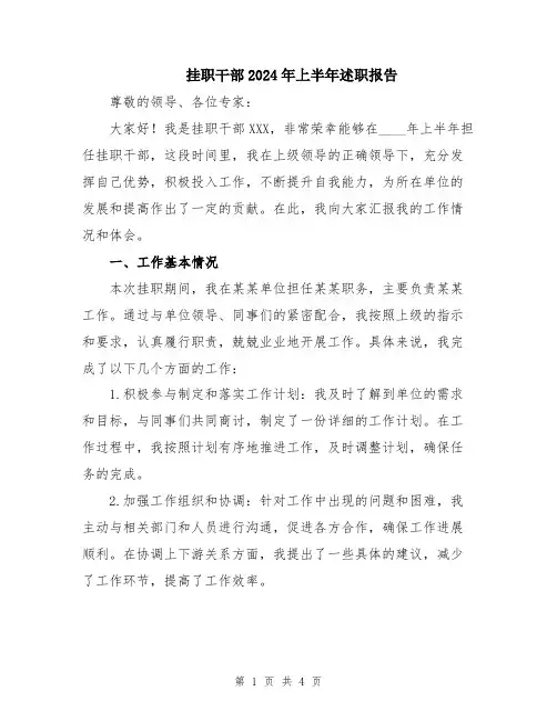 挂职干部2024年上半年述职报告