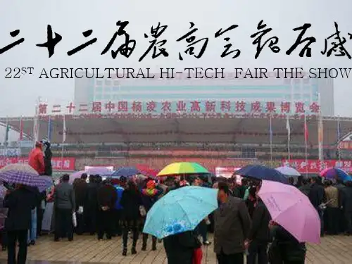 农高会ppt