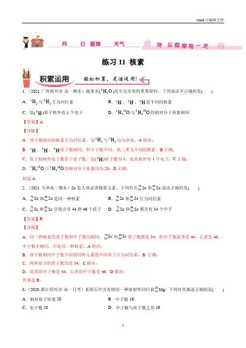 练习11 核素-2020-2021学年【补习教材·寒假作业】高一化学(人教版)(解析版)