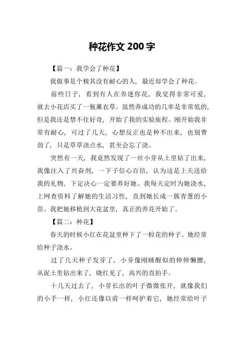种花作文200字