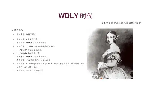 医美整形医院开业策划执行细案