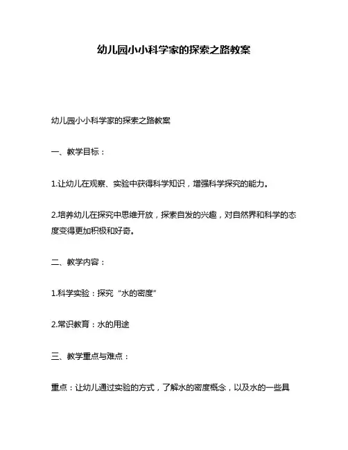 幼儿园小小科学家的探索之路教案