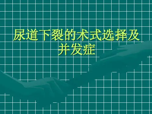[泌外]尿道下裂的术式选解读
