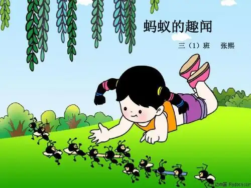 数学精彩两分钟
