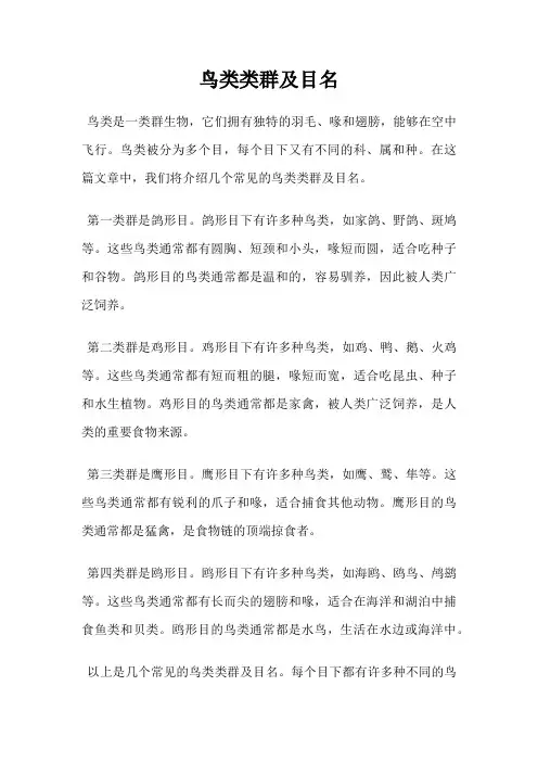 鸟类类群及目名
