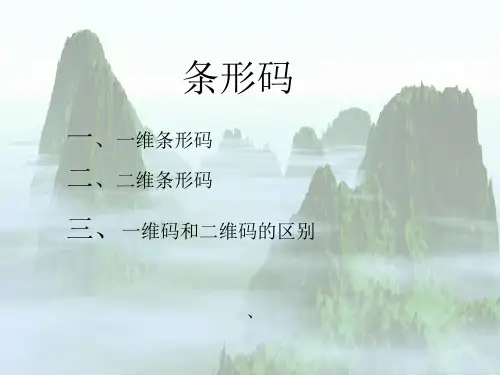 条形码的分析报告