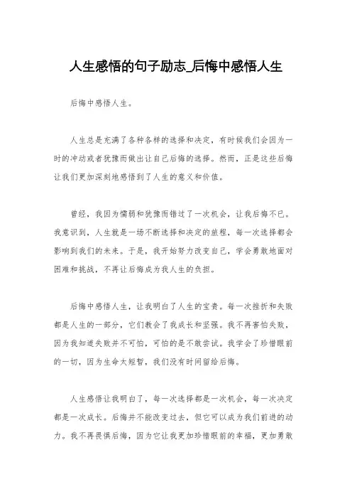 人生感悟的句子励志_后悔中感悟人生