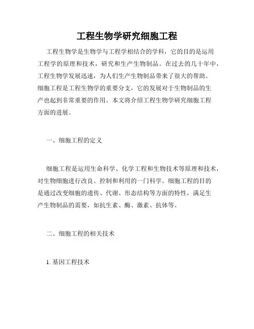 工程生物学研究细胞工程