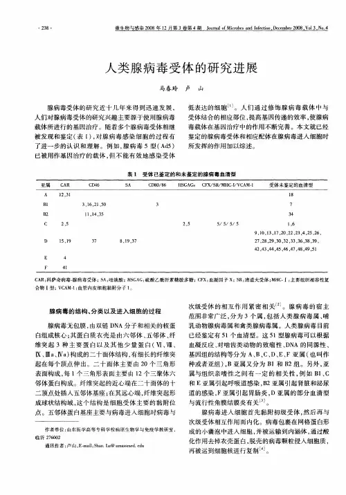 人类腺病毒受体的研究进展