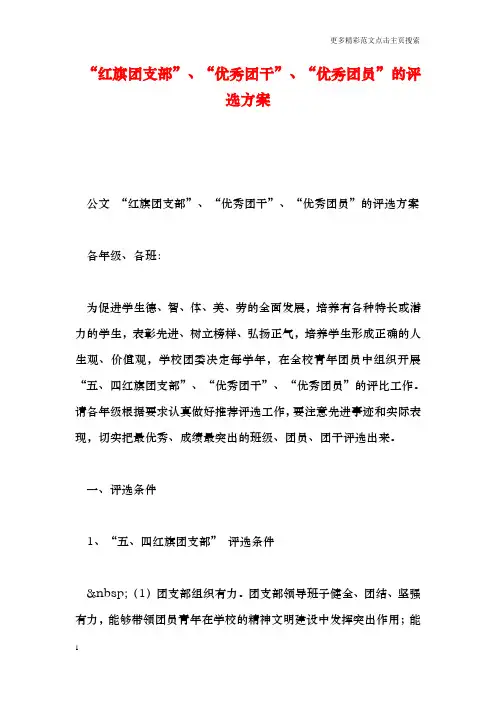 “红旗团支部”、“优秀团干”、“优秀团员”的评选方案