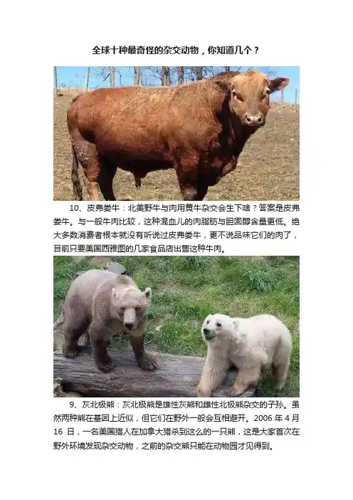 全球十种最奇怪的杂交动物，你知道几个？