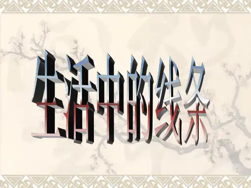 四年级上册美术课件-第4课  生活中的线条 ▏人教新课标(2014秋) (共29张PPT)