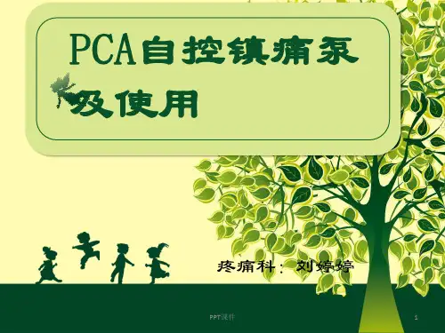 镇痛泵(PCA泵)及使用  ppt课件