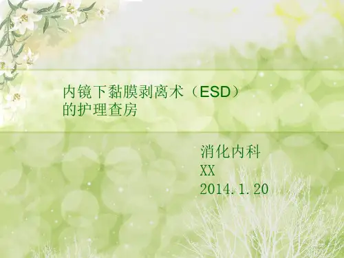 术护理查房PPT课件