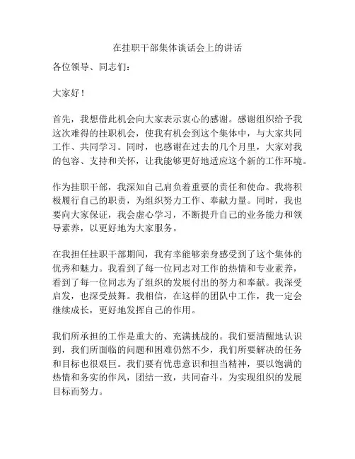 在挂职干部集体谈话会上的讲话