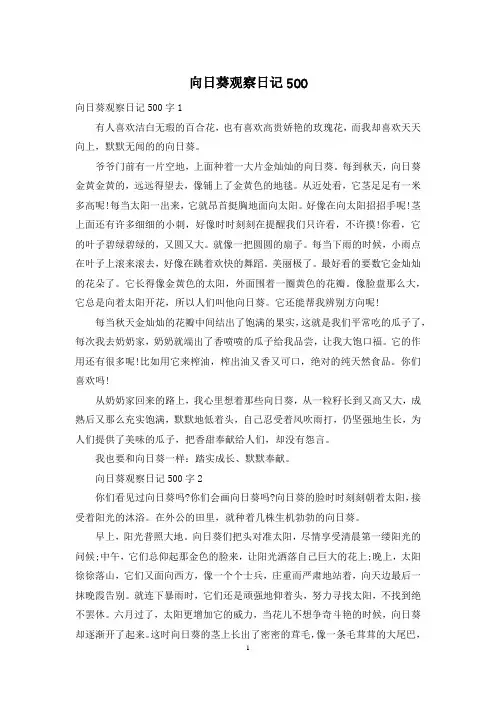 向日葵观察日记500