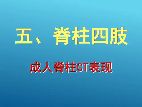 脊柱影像 脊柱四肢成人脊柱CT表现 (医学影像检查技术课件)