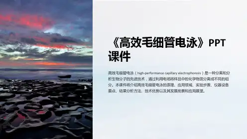 《高效毛细管电泳》课件