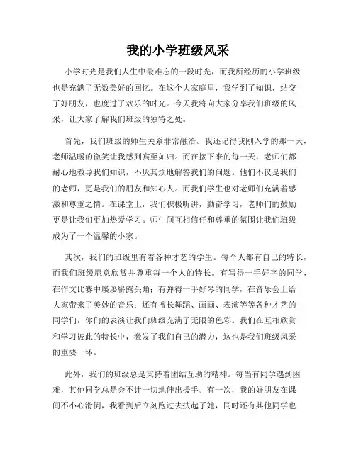 我的小学班级风采