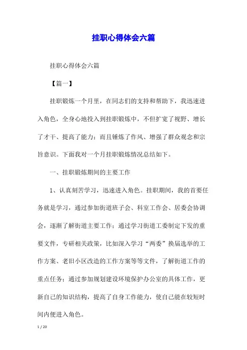 挂职心得体会六篇