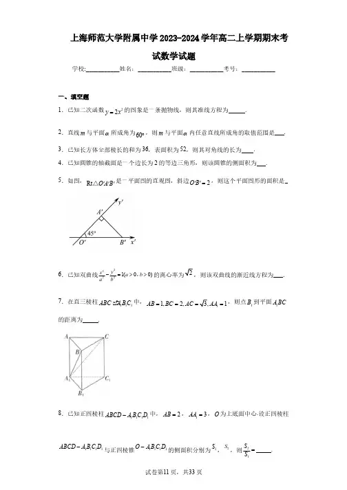 上海师范大学附属中学2023-2024学年高二上学期期末考试数学试题