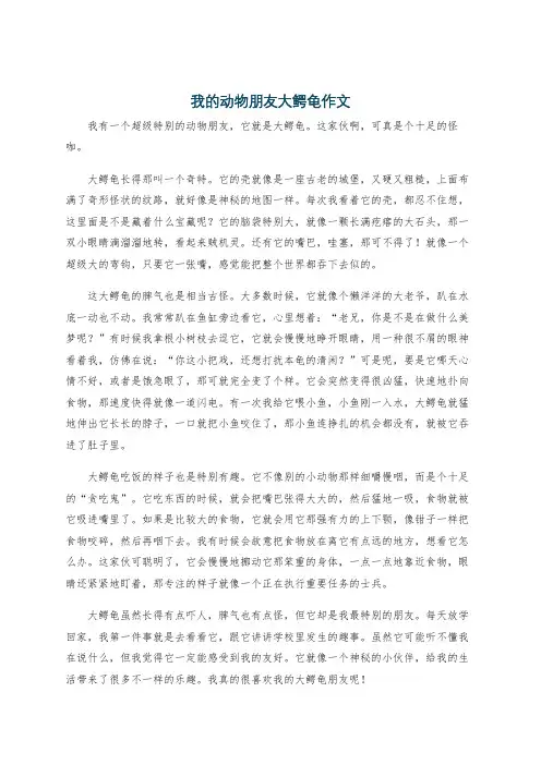 我的动物朋友大鳄龟作文