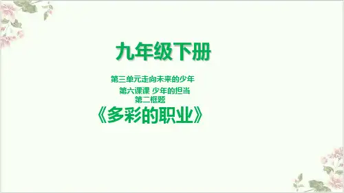 多彩的职业PPT部编版课件道德与法治九年级下册(版)