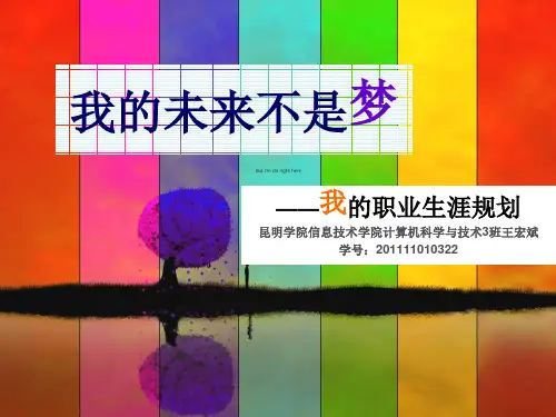 计算机科学与技术大学生职业生涯规划
