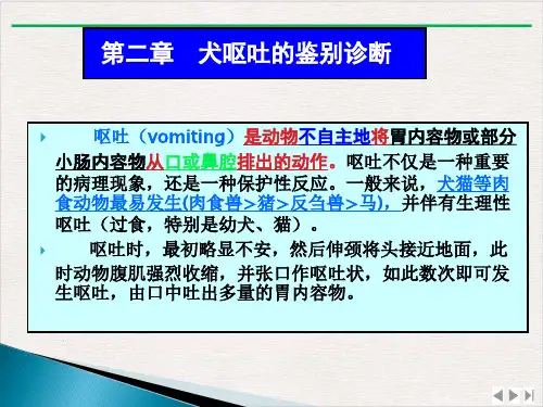犬呕吐的鉴别诊断完整版PPT