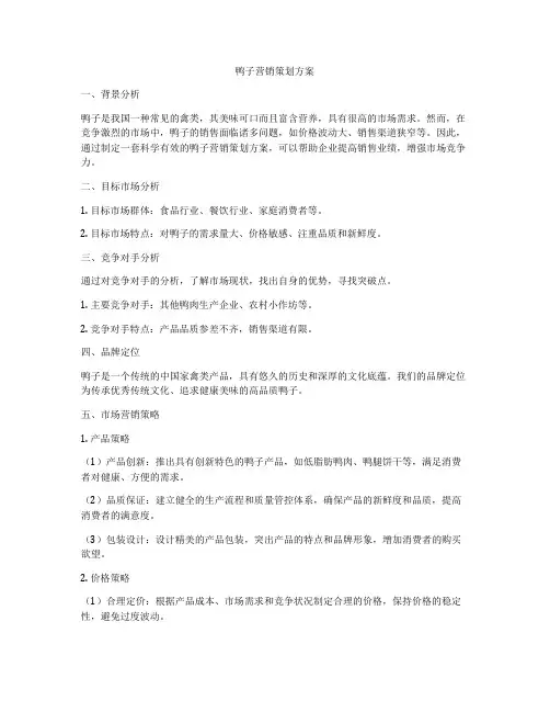 鸭子营销策划方案