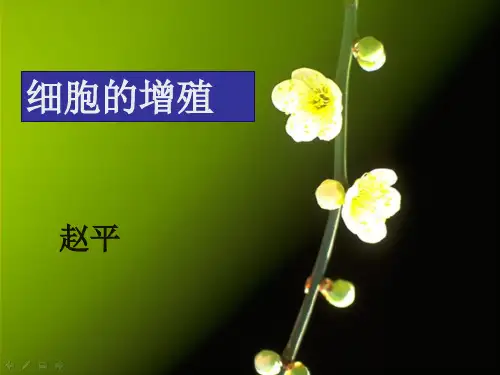 人教版高中生物必修一第六章第1节《细胞的增殖》优秀课件(24张)(共24张PPT)