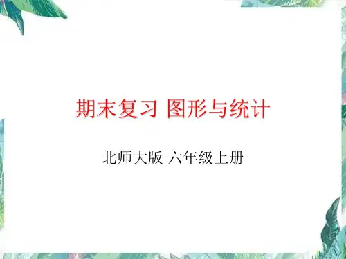 北师大版六年级上册期末复习图形与统计专项复习课件