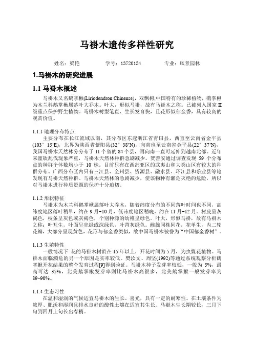 马褂木遗传多样性研究