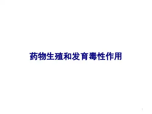 药物生殖和发育毒性作用