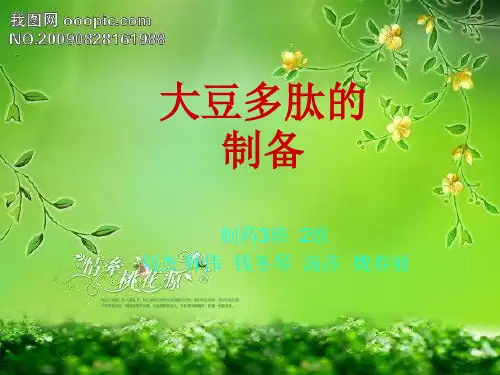 大豆多肽制备工艺