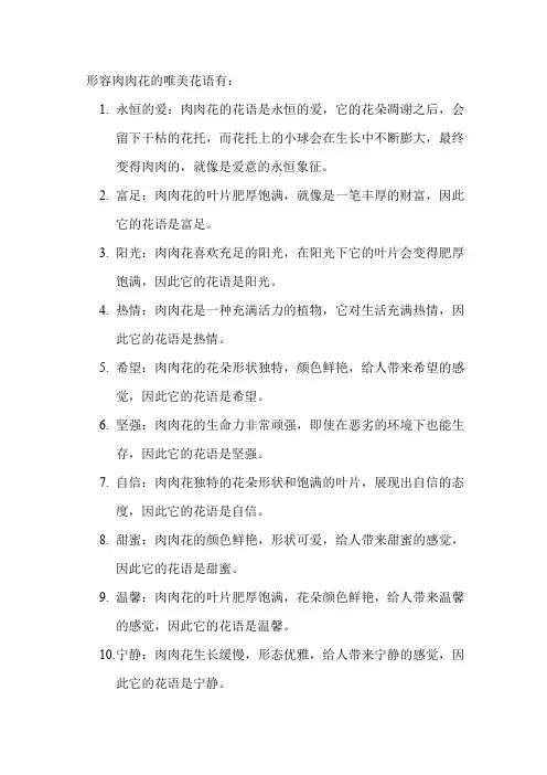 形容肉肉花的唯美花语